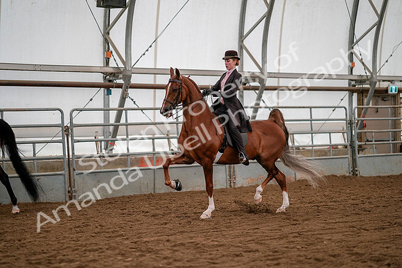 July 19, 2019 - 10496