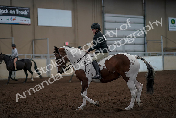 2019 Morgan Horse Show - Aug 30, 2019 - 31159
