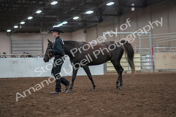 2019 Morgan Horse Show - Aug 31, 2019 - 02028