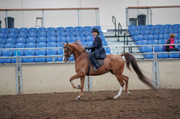 2019 Morgan Horse Show - Aug 31, 2019 - 16902