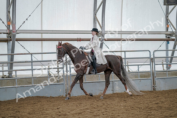 July 20, 2019 - 14645