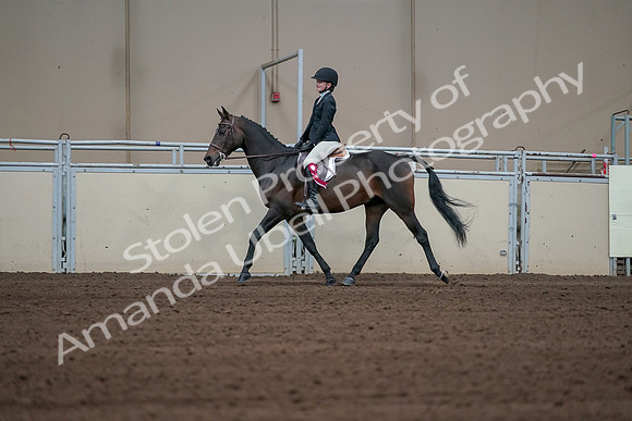 2019 Morgan Horse Show - Sept 01, 2019 - 03977