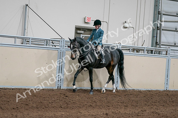 2020 - AB Morgan Horse - Fri, Sept 04 - 07751