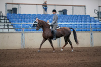 2019 Morgan Horse Show - Sept 01, 2019 - 06226