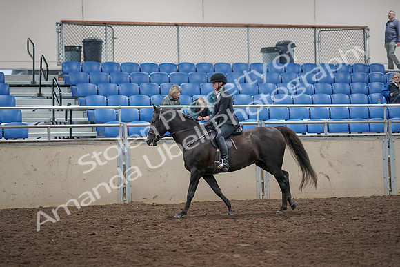 2019 Morgan Horse Show - Aug 31, 2019 - 07360