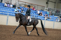 2020 - AB Morgan Horse - Fri, Sept 04 - 05813