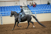 2020 - AB Morgan Horse - Sat, Sept 05 - 13587
