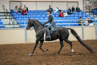 2020 - AB Morgan Horse - Sat, Sept 05 - 13583