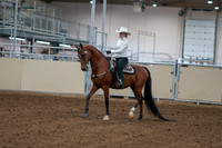 2020 - AB Morgan Horse - Fri, Sept 04 - 03470