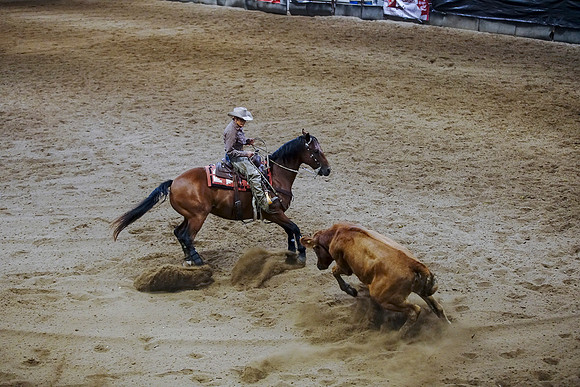 DSC07902