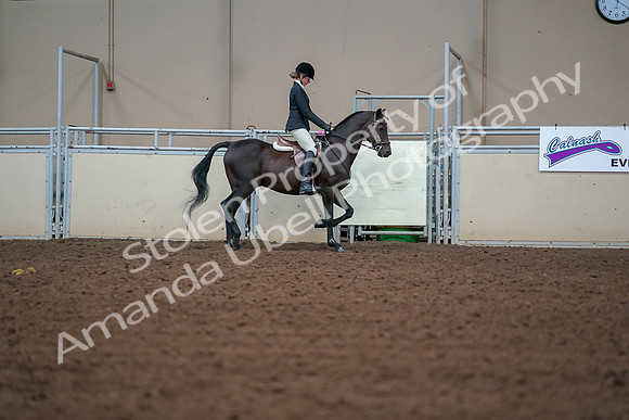 2019 Morgan Horse Show - Aug 30, 2019 - 20800