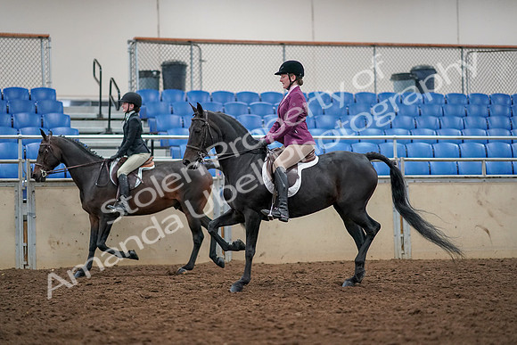 2019 Morgan Horse Show - Aug 30, 2019 - 23333