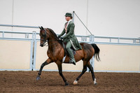 2020 - AB Morgan Horse - Fri, Sept 04 - 03296