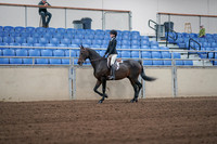 Class 149 - Morgan Classic Pleasure Saddle - Junior Horse Championship