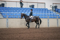 2019 Morgan Horse Show - Sept 01, 2019 - 03653