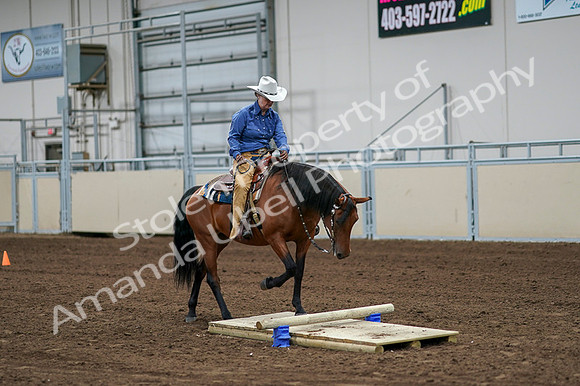 2020 - AB Morgan Horse - Fri, Sept 04 - 00228