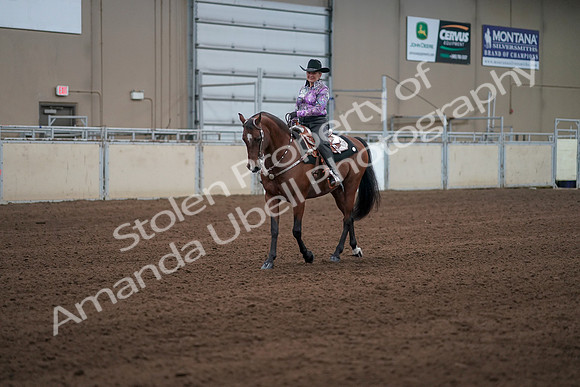 2019 Morgan Horse Show - Sept 01, 2019 - 07199