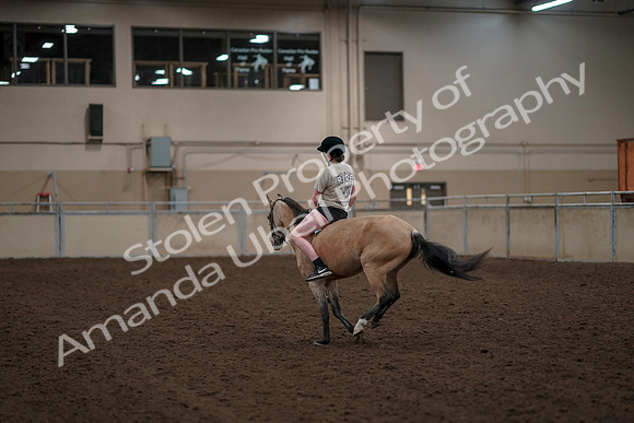 2019 Morgan Horse Show - Aug 30, 2019 - 31256