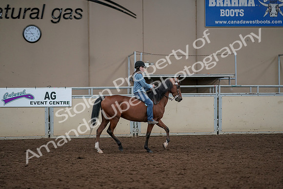 2019 Morgan Horse Show - Aug 30, 2019 - 31422