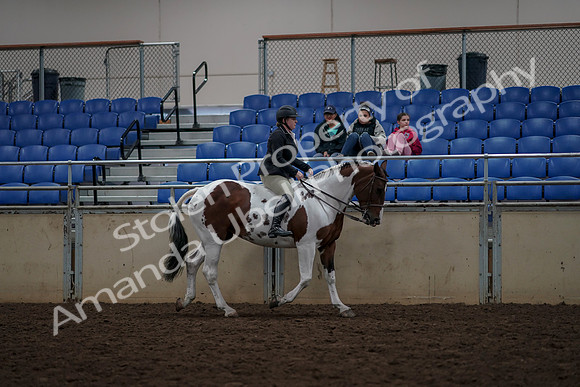 2019 Morgan Horse Show - Aug 30, 2019 - 31406