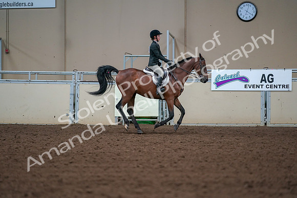 2019 Morgan Horse Show - Aug 30, 2019 - 21045