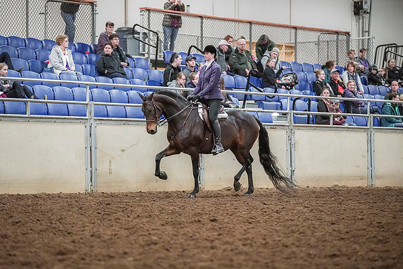 Spring Fling - Saturday - April 20, 2019  -  03751