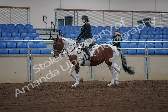 2019 Morgan Horse Show - Aug 30, 2019 - 14868