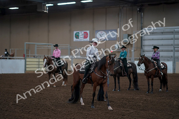 2019 Morgan Horse Show - Sept 01, 2019 - 07246