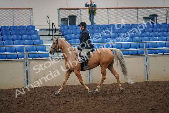 2019 Morgan Horse Show - Aug 30, 2019 - 22171
