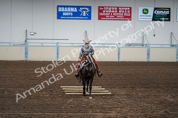 2020 - AB Morgan Horse - Fri, Sept 04 - 00439