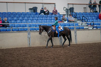 2019 Morgan Horse Show - Aug 31, 2019 - 16307