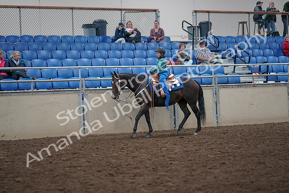 2019 Morgan Horse Show - Aug 31, 2019 - 16307