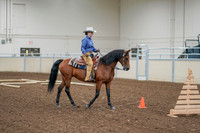 2020 - AB Morgan Horse - Fri, Sept 04 - 00020
