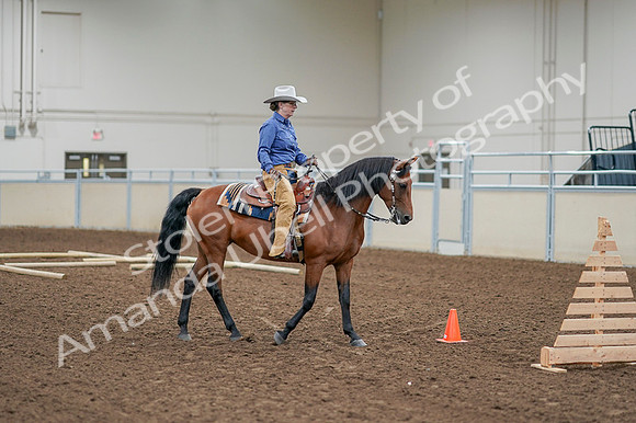 2020 - AB Morgan Horse - Fri, Sept 04 - 00020