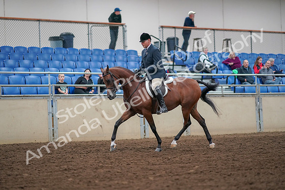 2019 Morgan Horse Show - Aug 30, 2019 - 16276
