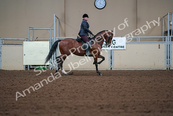 2019 Morgan Horse Show - Aug 30, 2019 - 20701