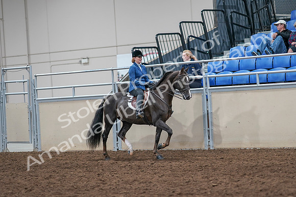 2020 - AB Morgan Horse - Sat, Sept 05 - 05075