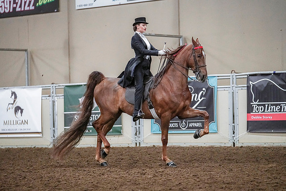 Spring Fling - Saturday - April 20, 2019  -  04175