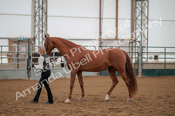 July 19, 2019 - 941