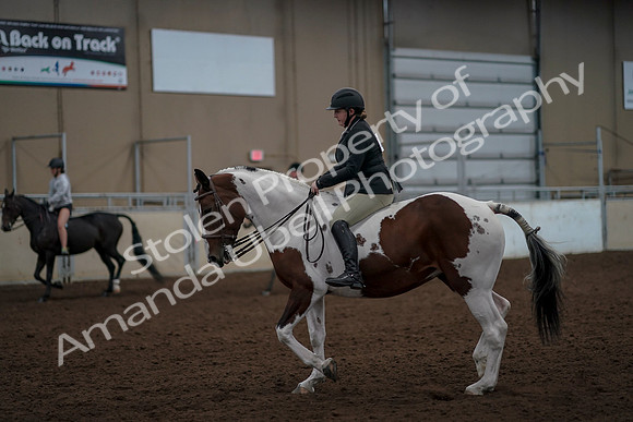 2019 Morgan Horse Show - Aug 30, 2019 - 31160