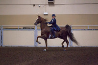 Class 175 - ASB 5-Gaited Amateur, Stake