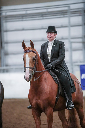 Spring Fling - Saturday - April 20, 2019  -  00841