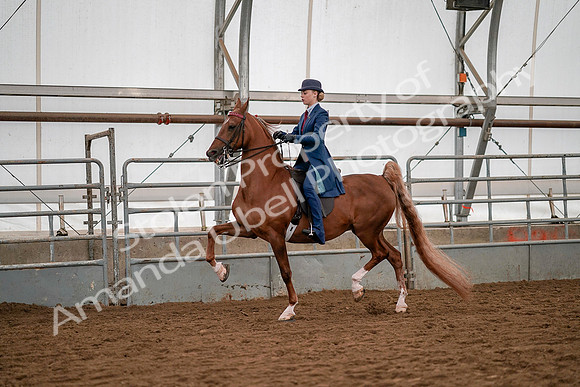 July 19, 2019 - 10360