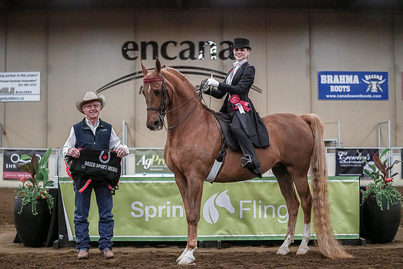 Spring Fling - Saturday - April 20, 2019  -  04449