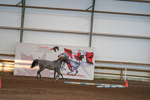 2022 - CNAC - Sept 27 - 00212