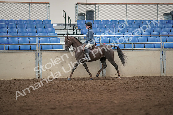 2019 Morgan Horse Show - Aug 31, 2019 - 04904