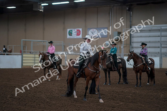 2019 Morgan Horse Show - Sept 01, 2019 - 07247