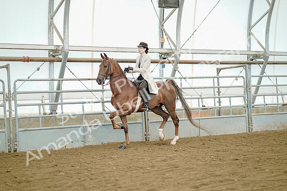 July 20, 2019 - 07833