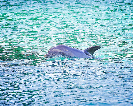 Jamaica - 098