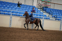 2020 - AB Morgan Horse - Fri, Sept 04 - 03639